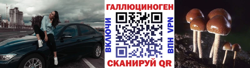 закладка  Староминская  mega ссылка  Псилоцибиновые грибы мухоморы 